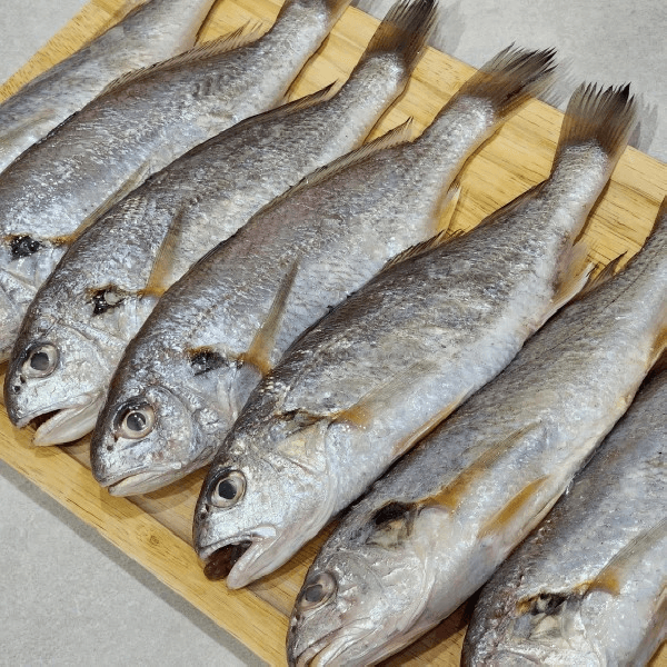 국내산 백조기 1kg