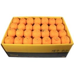 찬늘봄 한라봉 로얄과